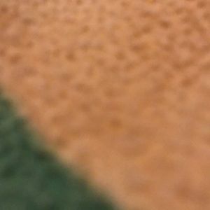 Meet your Posher, Genesis